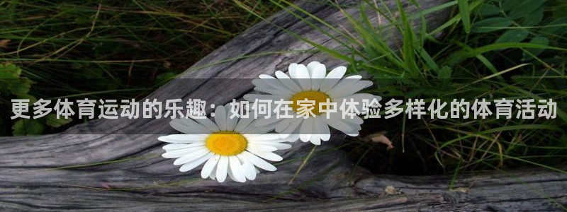 更多体育运动的乐趣：如何在家中体验多样化的体育活动