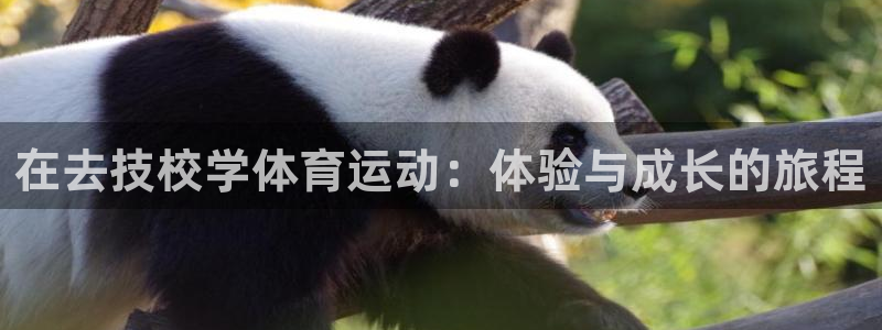 在去技校学体育运动：体验与成长的旅程