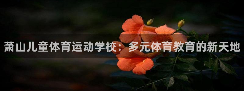 萧山儿童体育运动学校：多元体育教育的新天地