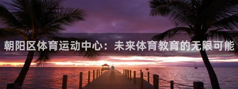 朝阳区体育运动中心：未来体育教育的无限可能