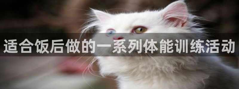 适合饭后做的一系列体能训练活动