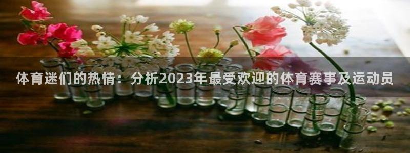 体育迷们的热情：分析2023年最受欢迎的体育赛事及运动员