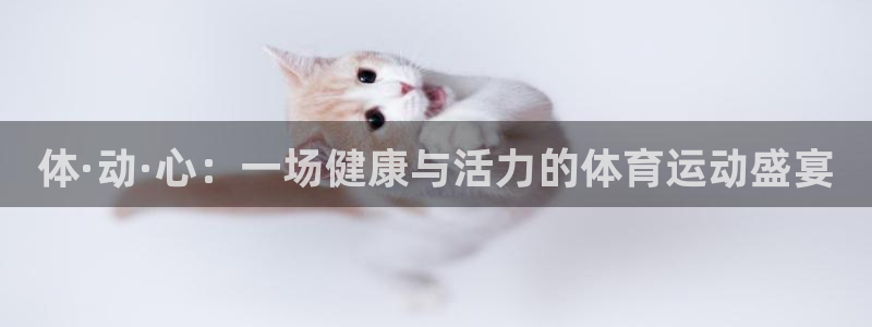 体·动·心：一场健康与活力的体育运动盛宴