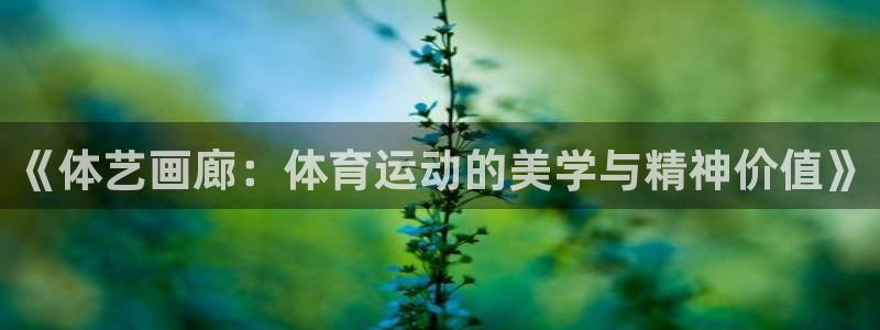 《体艺画廊：体育运动的美学与精神价值》