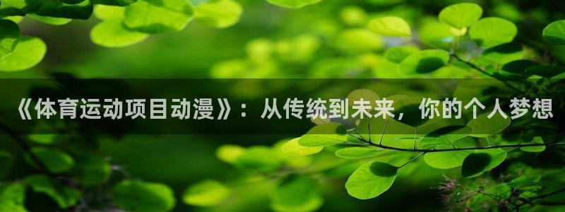 《体育运动项目动漫》：从传统到未来，你的个人梦想