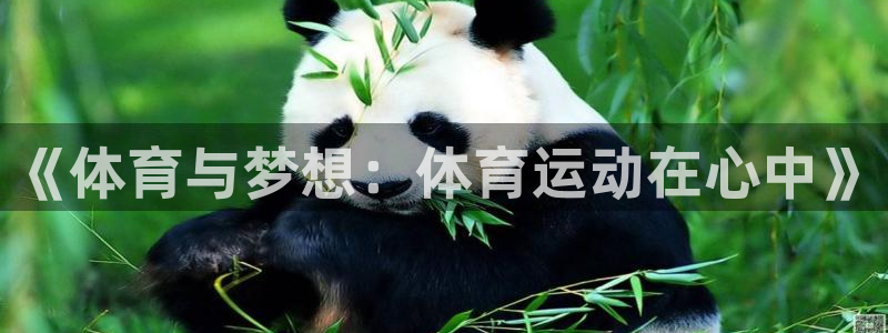 《体育与梦想：体育运动在心中》