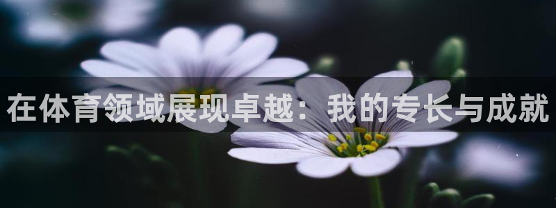 在体育领域展现卓越：我的专长与成就