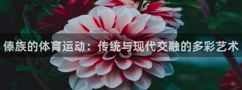 傣族的体育运动：传统与现代交融的多彩艺术